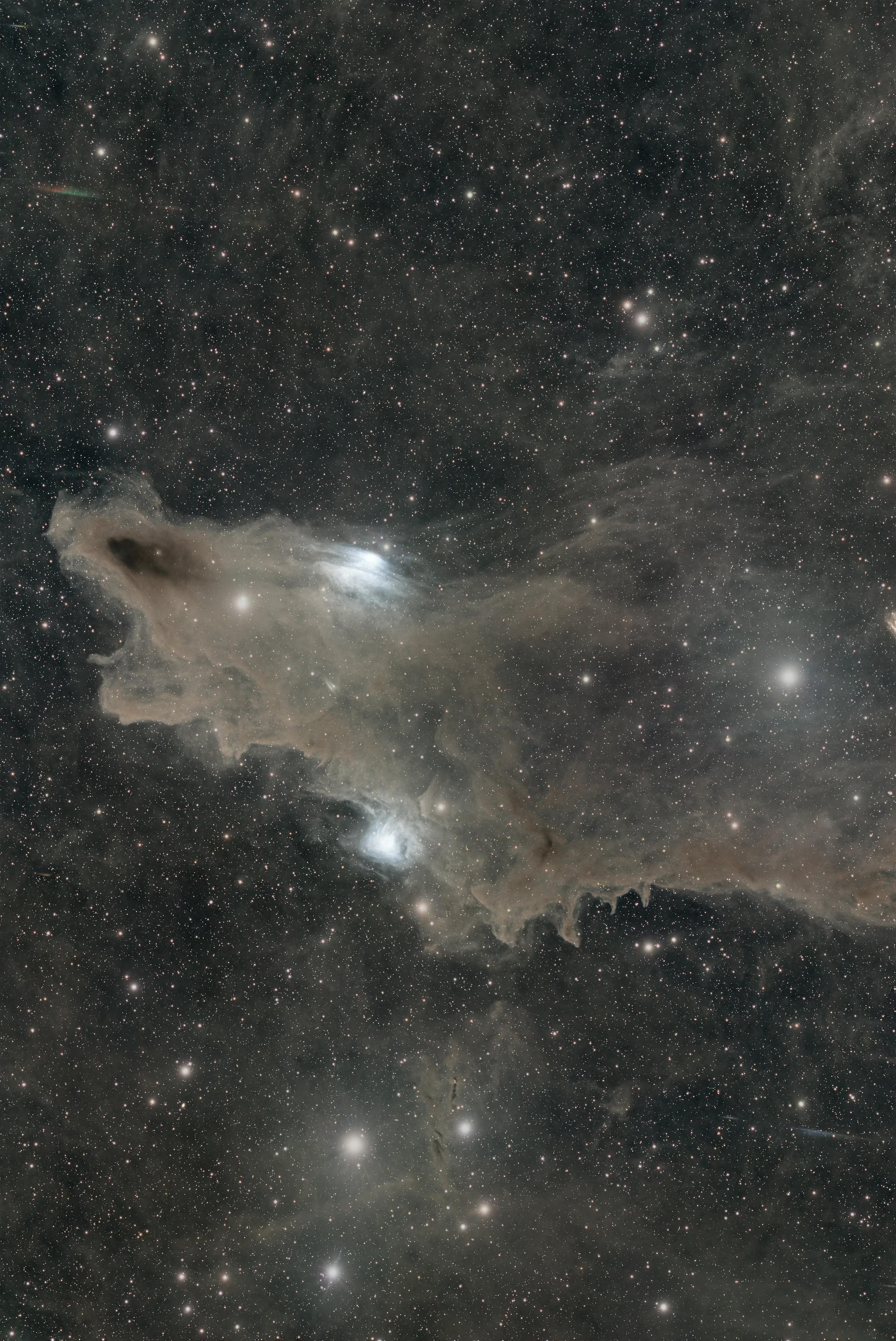 The Shark Nebula, a dark dust cloud with blue reflection nebulae vdB 149 and vdB 150