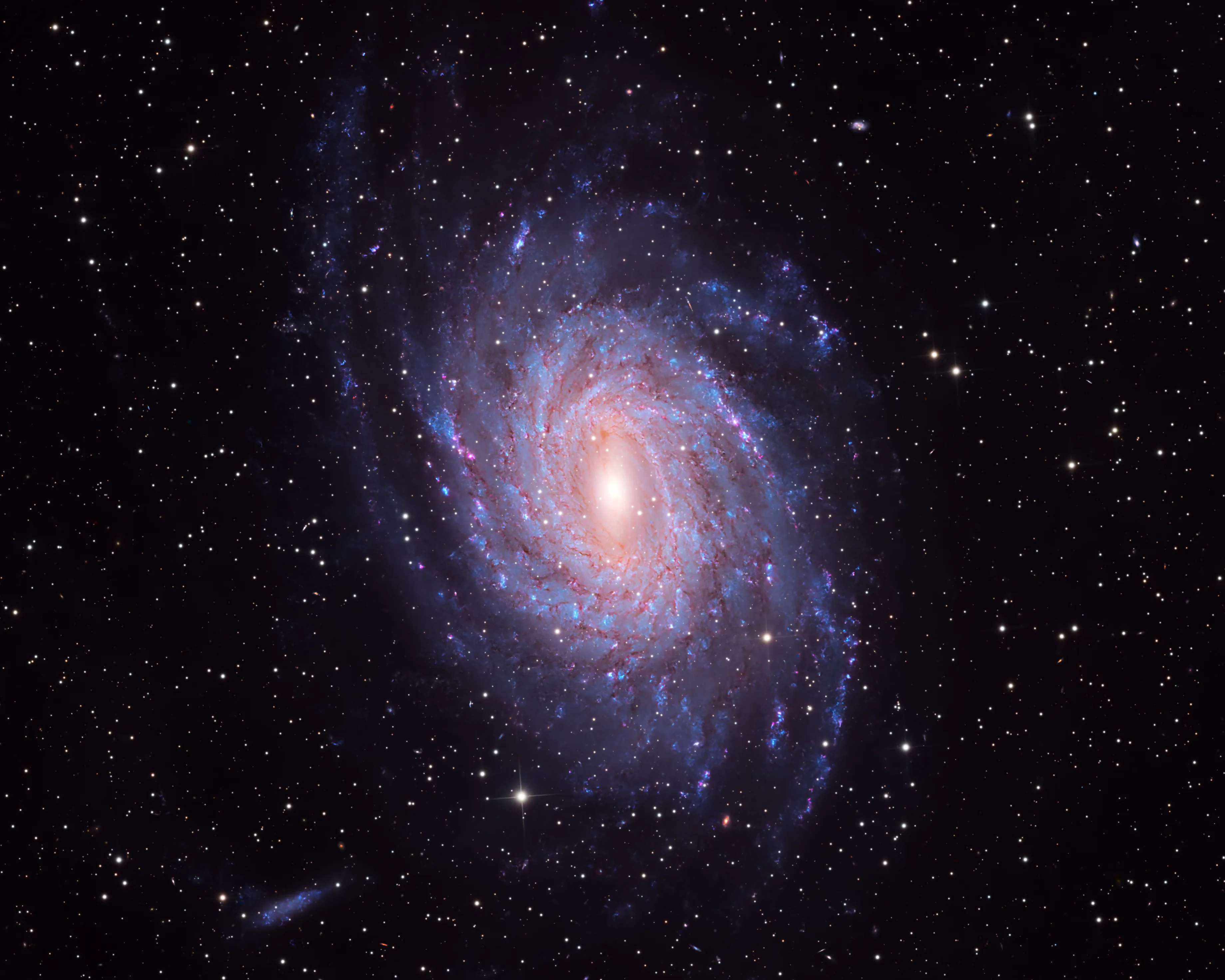 The spiral galaxy NGC 6744 in Pavo, a near-twin of the Milky Way