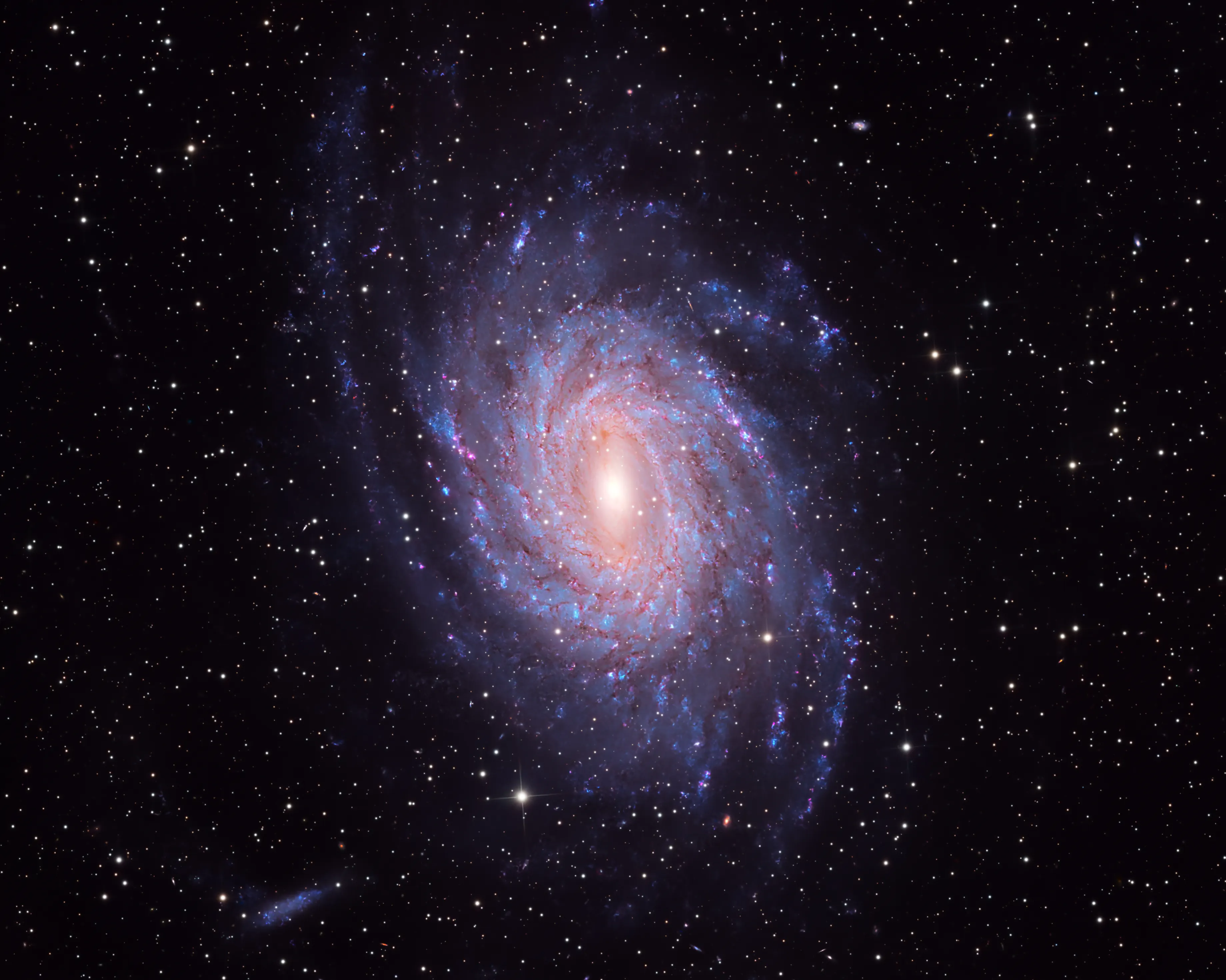 The spiral galaxy NGC 6744 in Pavo, a near-twin of the Milky Way
