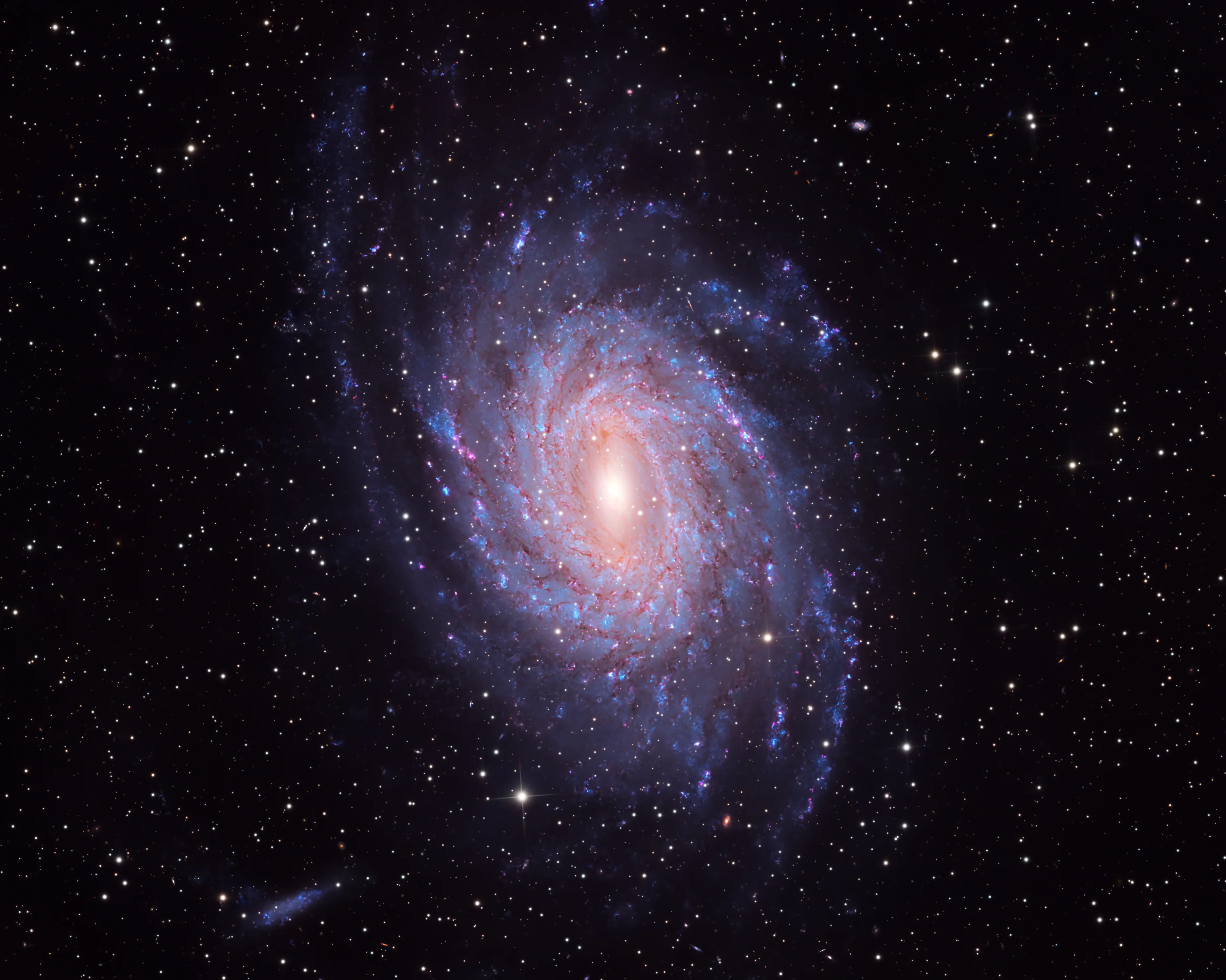 The spiral galaxy NGC 6744 in Pavo, a near-twin of the Milky Way