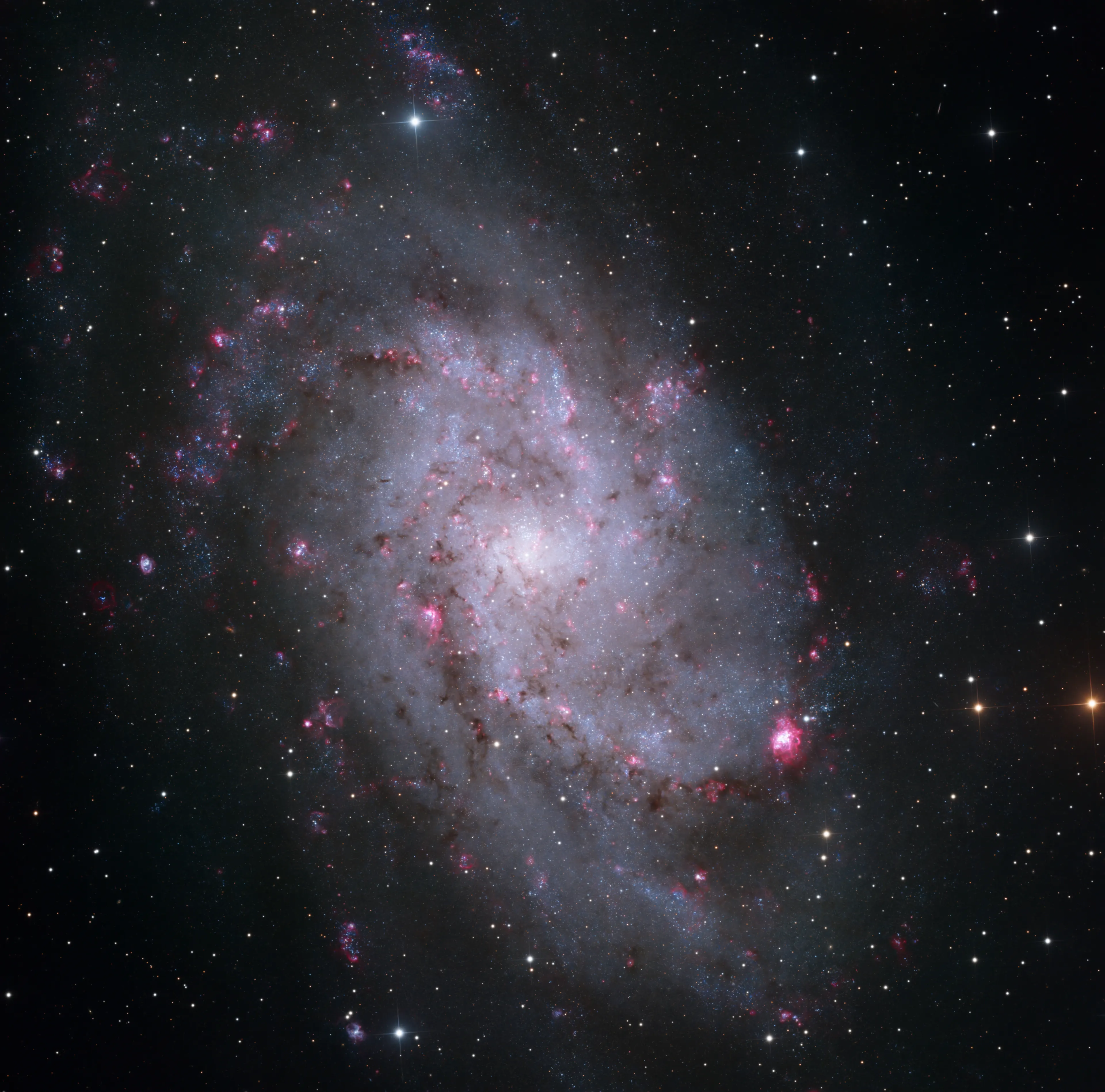 The face-on Triangulum Galaxy with pink Hα star-forming regions