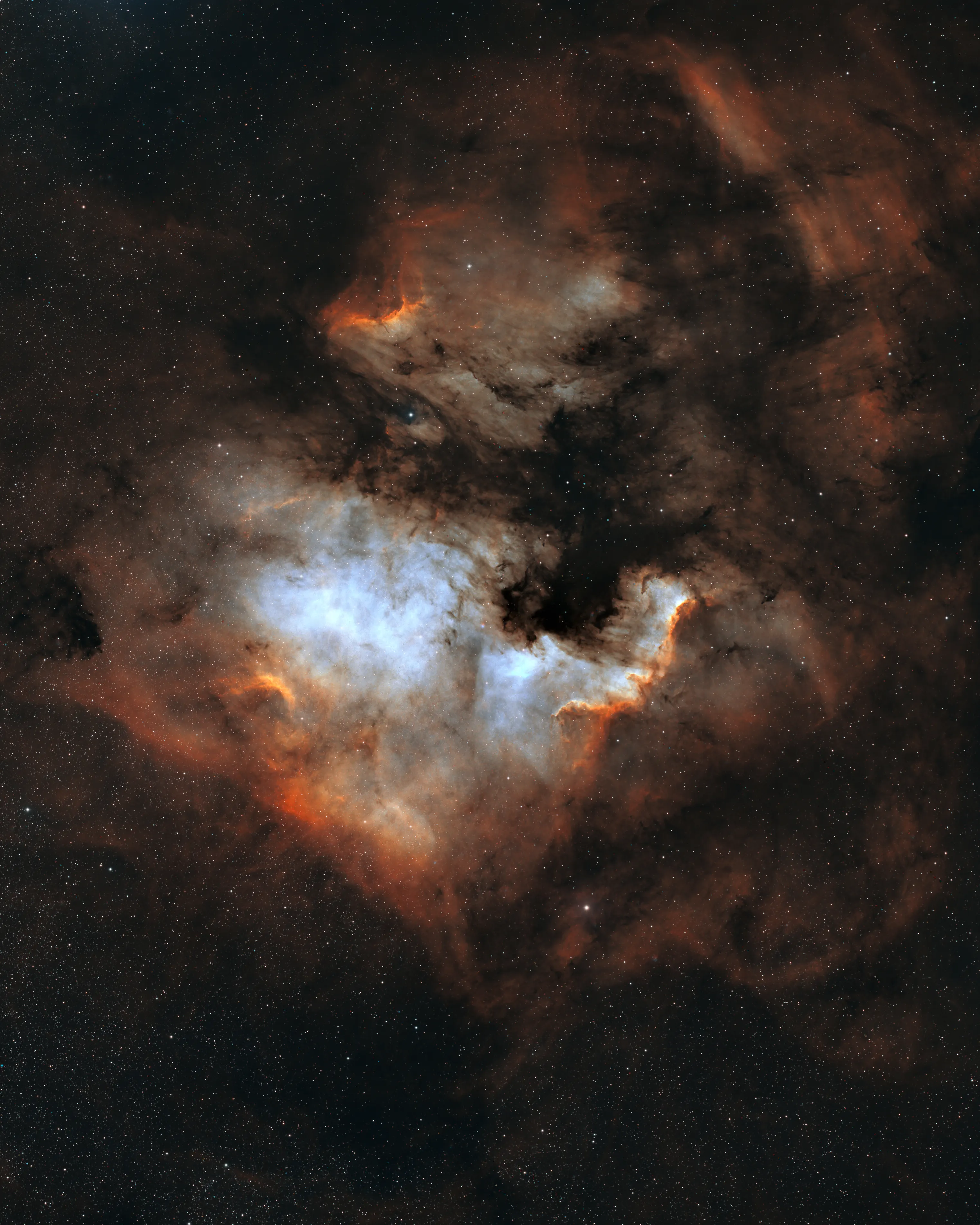 The North America Nebula in Cygnus, with its dark Gulf of Mexico
