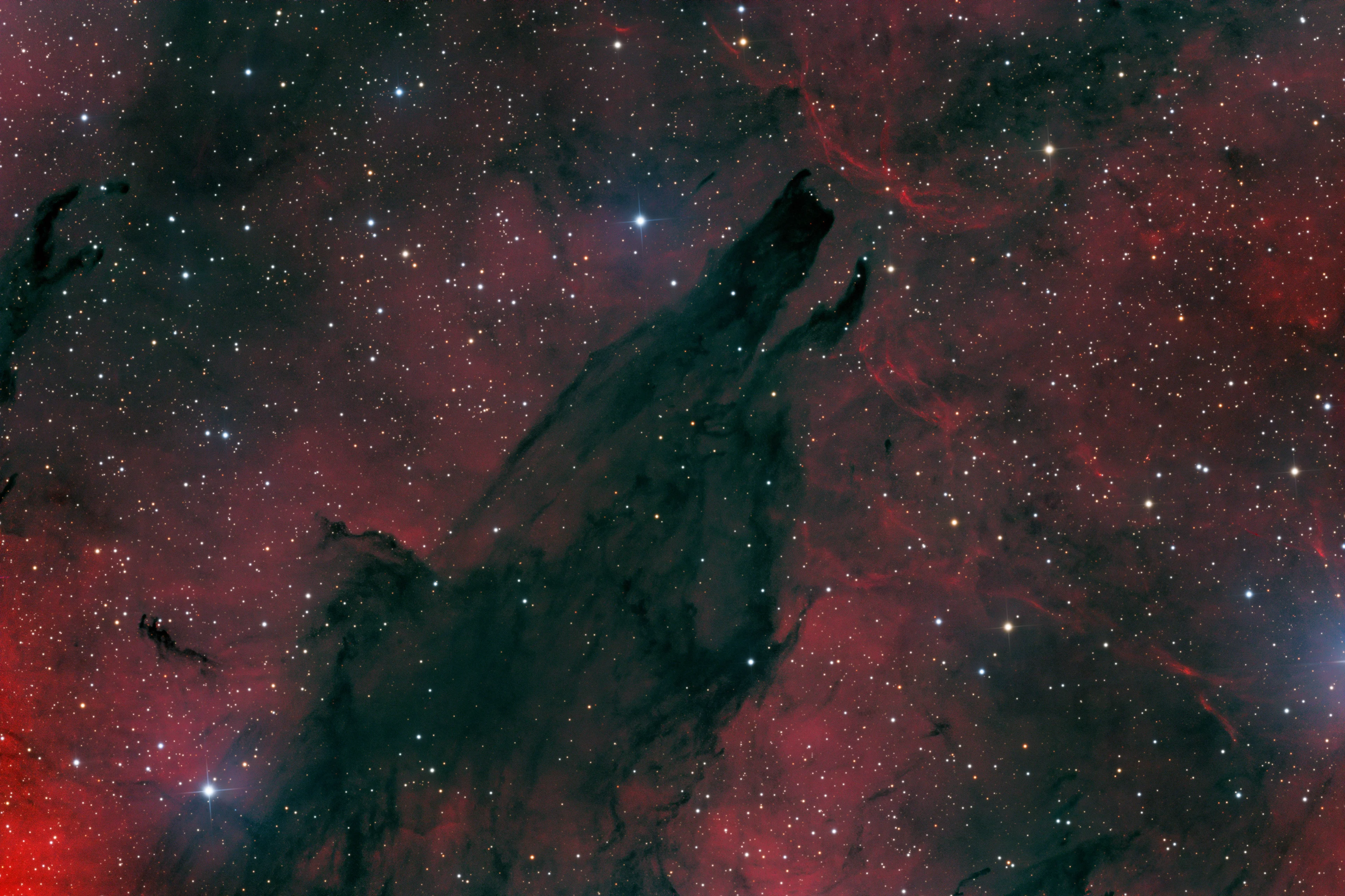 The Dark Wolf Nebula, a dark dust cloud in Scorpius silhouetted against RCW 113